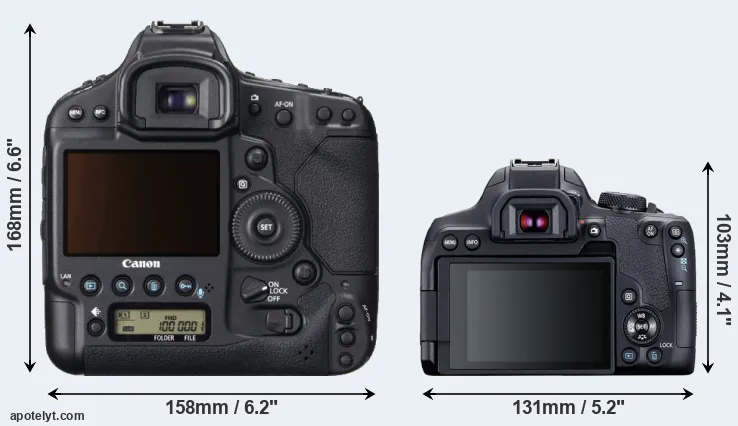 Comparison 1DX or T8i rear
