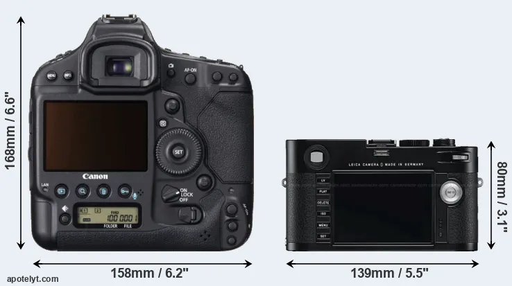 Comparison 1DX or M Typ 240 rear