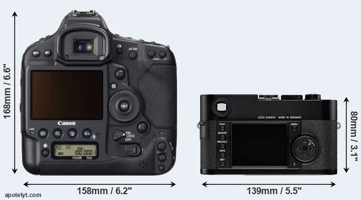Comparison 1DX or M8 rear