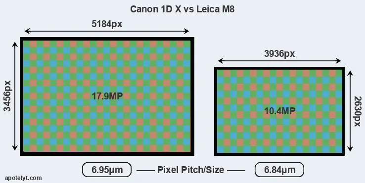 1DX versus M8 MP