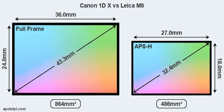 Canon 1D X and Leica M8 sensor measures