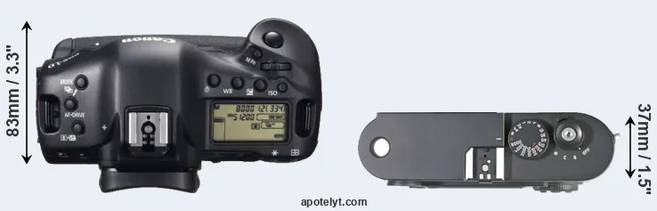 Compare 1DX versus M8 top