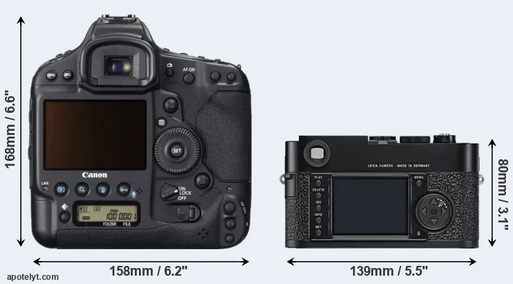 Comparison 1DX or M9 rear