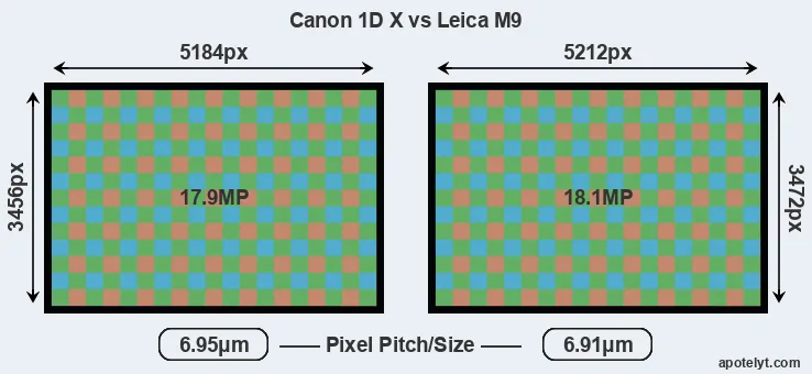 1DX versus M9 MP