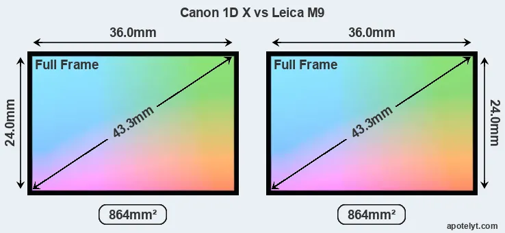 Canon 1D X and Leica M9 sensor measures