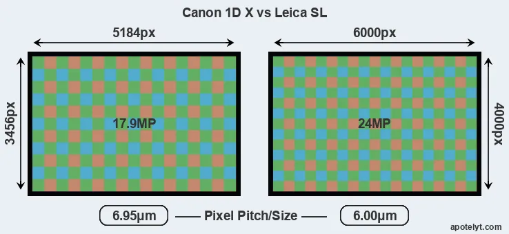 1DX versus Leica SL MP