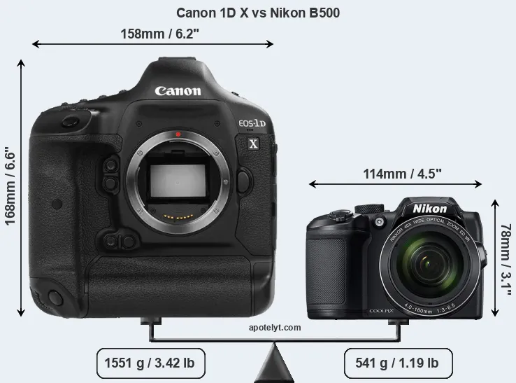 Size Canon 1D X vs Nikon B500
