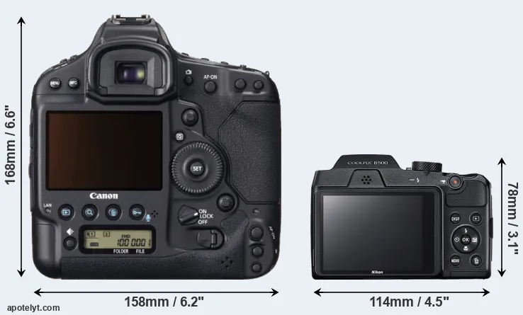 Comparison 1DX or B500 rear