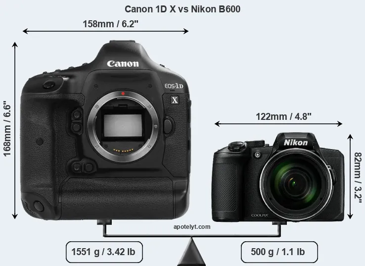 Size Canon 1D X vs Nikon B600