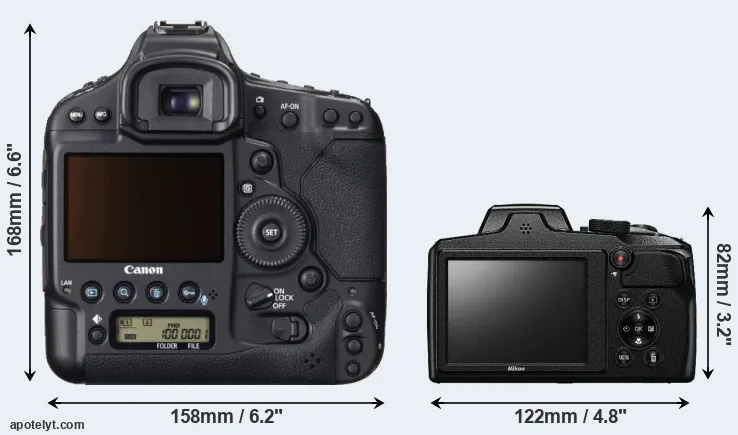 Comparison 1DX or B600 rear