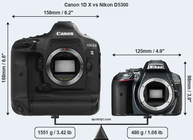 Size Canon 1D X vs Nikon D5300