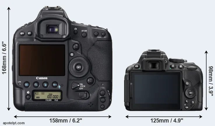 Comparison 1DX or D5300 rear