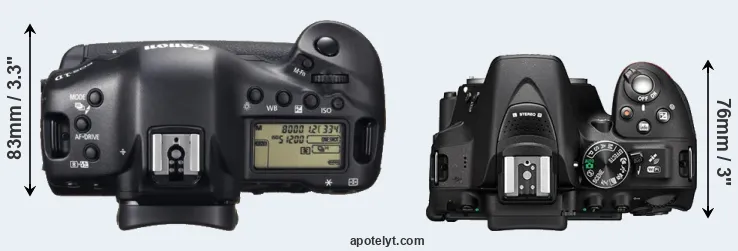 Compare 1DX versus D5300 top