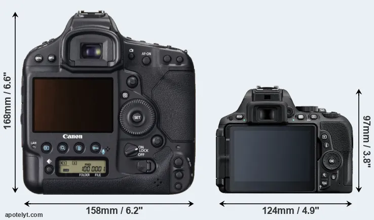 Comparison 1DX or D5500 rear
