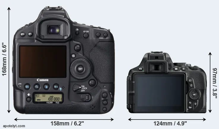 Comparison 1DX or D5600 rear