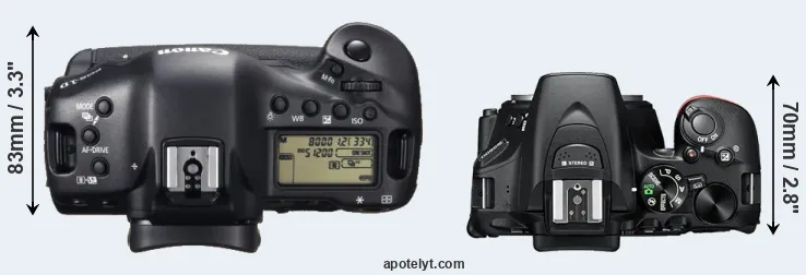 Compare 1DX versus D5600 top