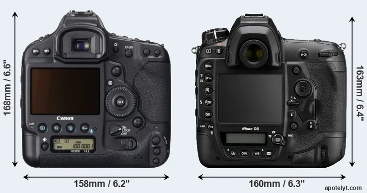 Comparison 1DX or D6 rear
