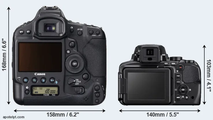 Comparison 1DX or P900 rear