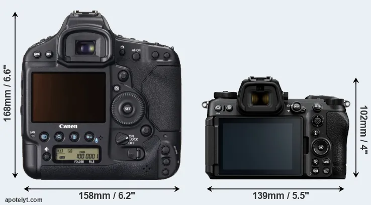 Comparison 1DX or Z6 III rear