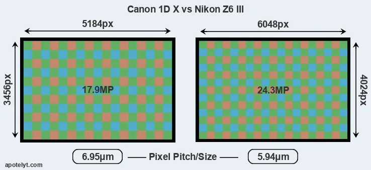 1DX versus Z6 III MP