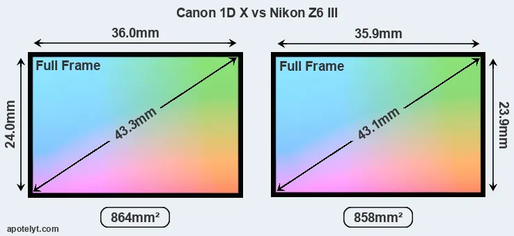Canon 1D X and Nikon Z6 III sensor measures