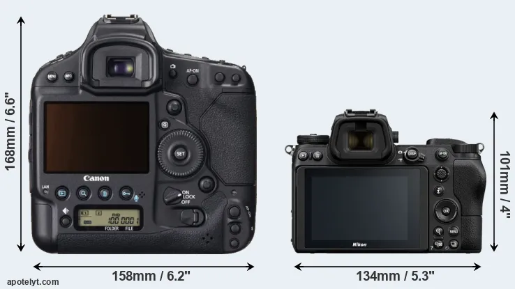 Comparison 1DX or Z6 rear