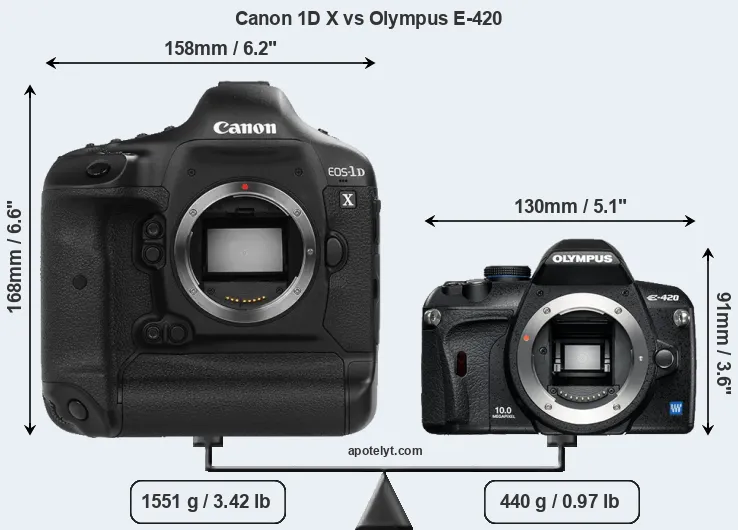 Size Canon 1D X vs Olympus E-420