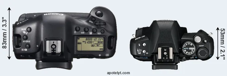 Compare 1DX versus E-420 top