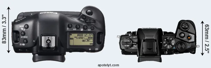 Compare 1DX versus E-M1 top