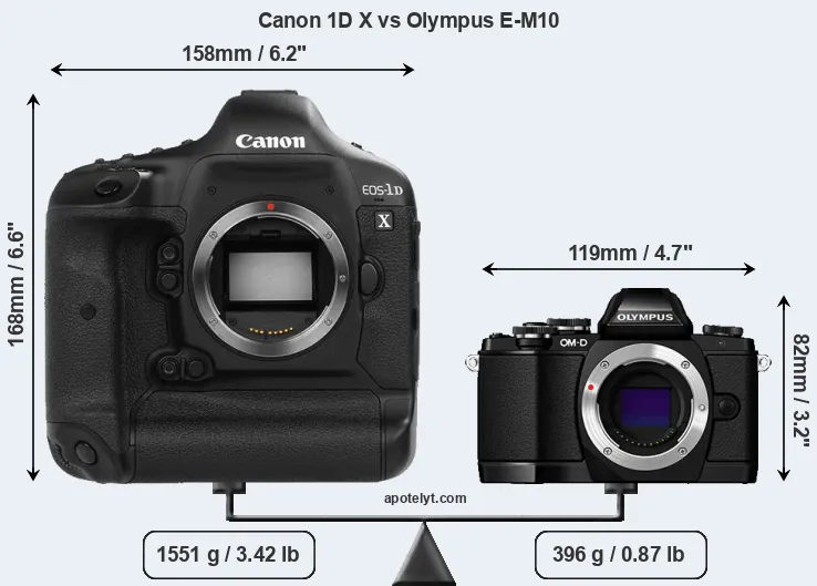 Size Canon 1D X vs Olympus E-M10