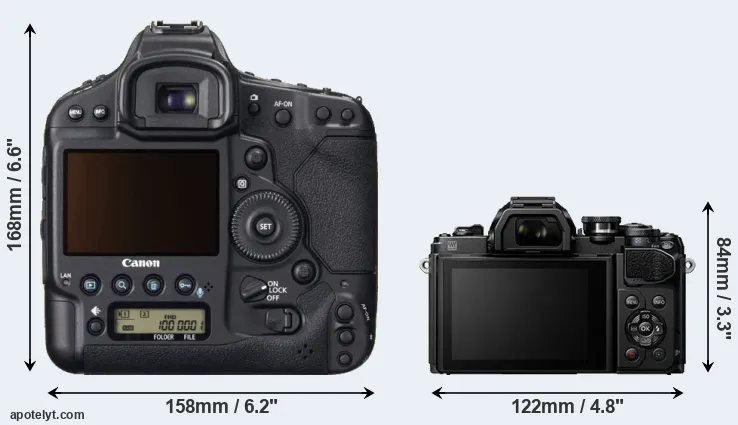 Comparison 1DX or E-M10 III rear