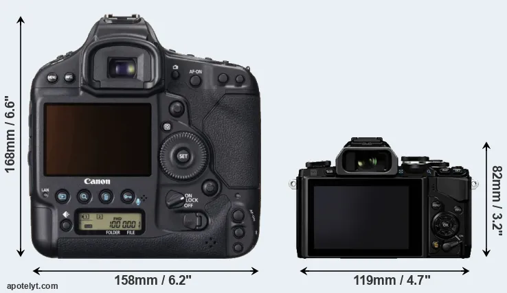 Comparison 1DX or E-M10 rear