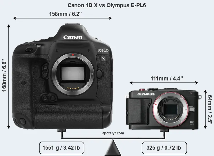 Size Canon 1D X vs Olympus E-PL6