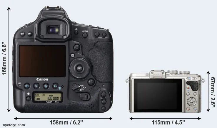 Comparison 1DX or E-PL8 rear