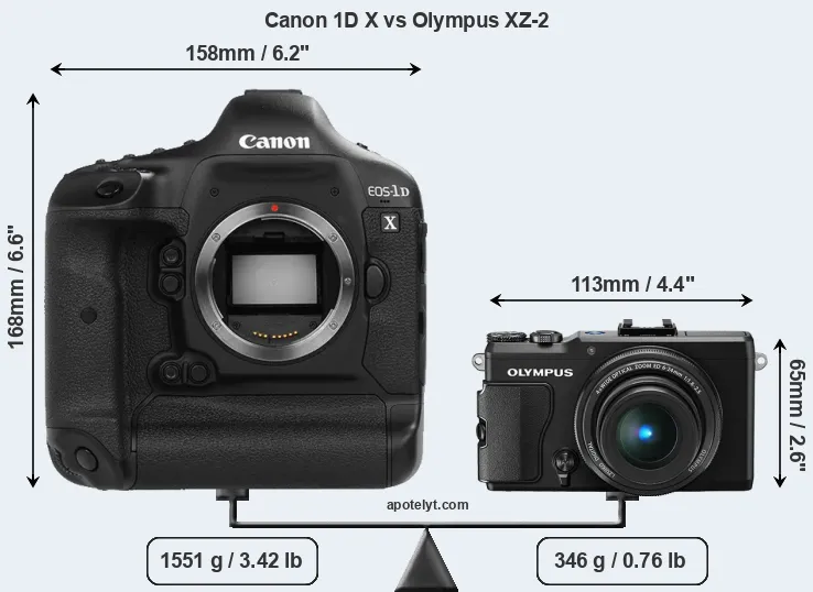 Size Canon 1D X vs Olympus XZ-2