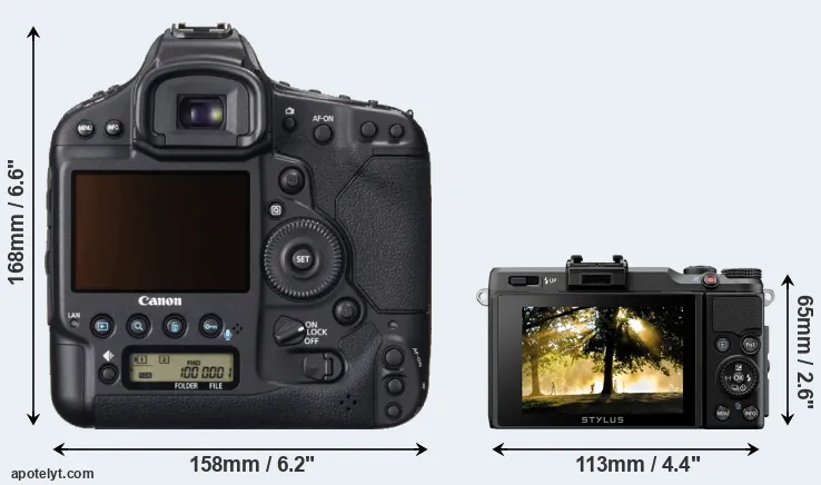 Comparison 1DX or XZ-2 rear