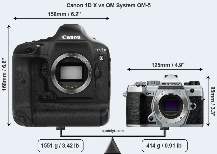 Size Canon 1D X vs OM System OM-5