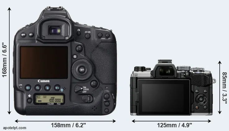 Comparison 1DX or OM-5 rear