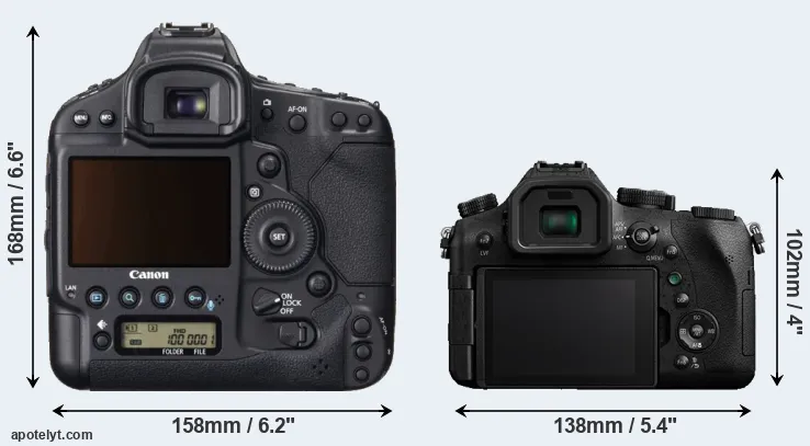 Comparison 1DX or FZ2000 rear