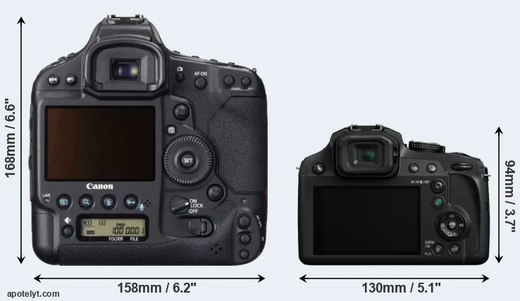 Comparison 1DX or FZ82 rear