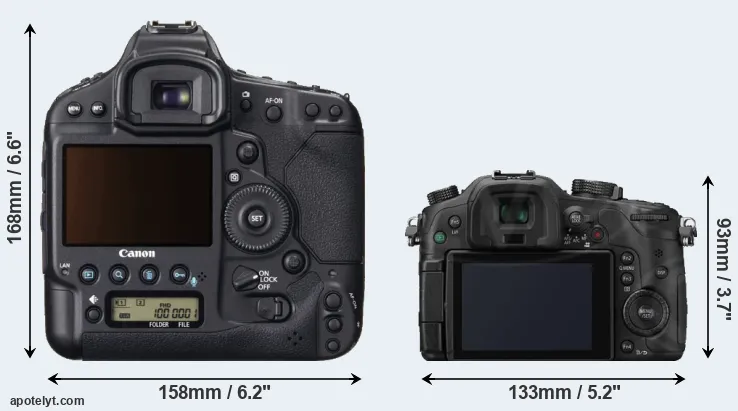 Comparison 1DX or GH3 rear