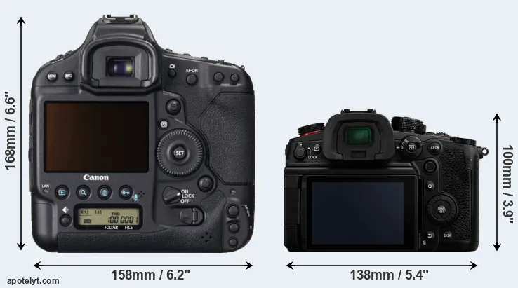 Comparison 1DX or GH6 rear