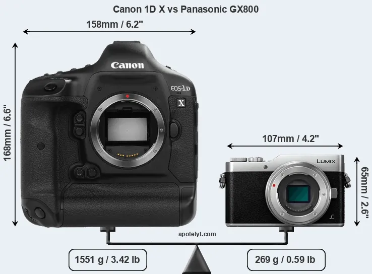 Size Canon 1D X vs Panasonic GX800