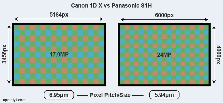 1DX versus S1H MP