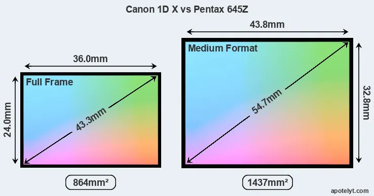 Canon 1D X and Pentax 645Z sensor measures