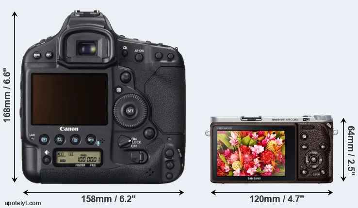 Comparison 1DX or NX500 rear