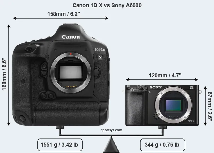 Size Canon 1D X vs Sony A6000