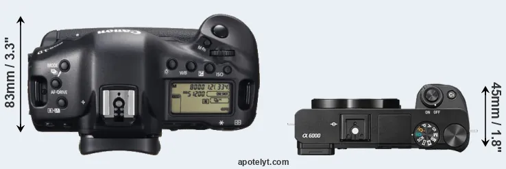 Compare 1DX versus A6000 top