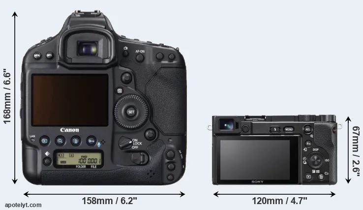 Comparison 1DX or A6100 rear