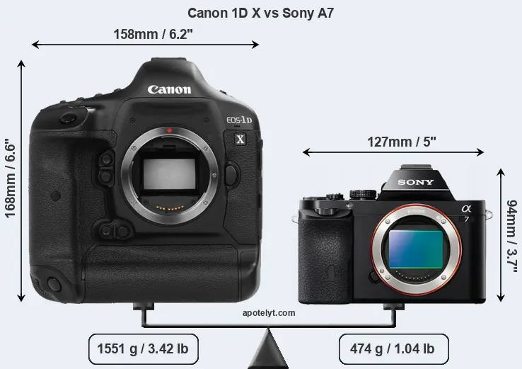 Size Canon 1D X vs Sony A7